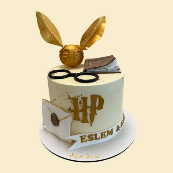Harry Potter  Geburtstagstorte  & Goldener Schnatz