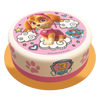 Paw Patrol Skye Torte