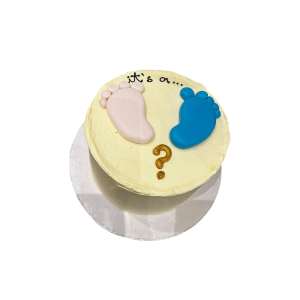 mini torte mit Rosa und blauen fussabdruck und its a?