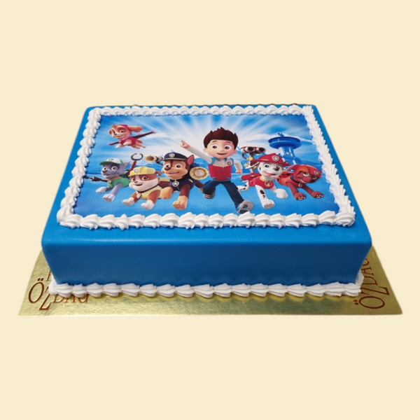 rechteckige Paw Patrol Foto -Torte