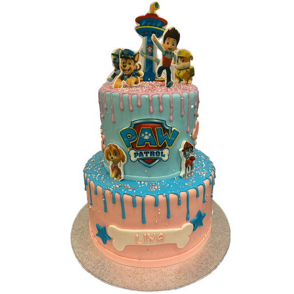 Paw Patrol Torte Zweistöckig
